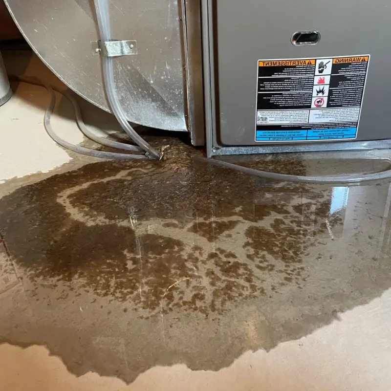 Pipe Burst and Leak Restoration in New Kingman-Butler, AZ